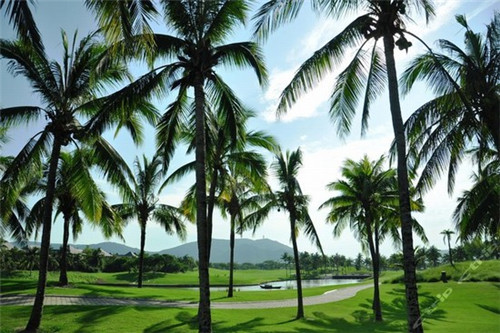 糖水店创业宣言简短版怎么写