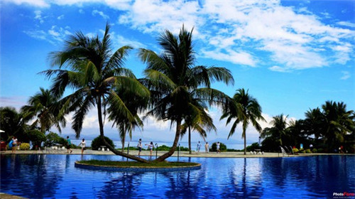 在绥江县加盟柠檬街奶茶开店多久回本