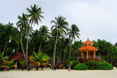 阳江奶茶店烧烤放什么料