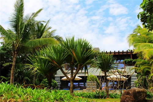 餐饮设计理念怎么写，餐饮设计的句子怎么写