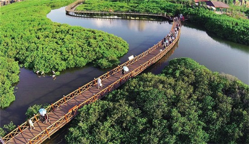 卡洛奇奶茶一年盈利多少