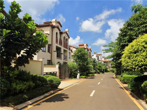 苏堤景点命名由来是什么（苏堤景点命名由来是什么意思）