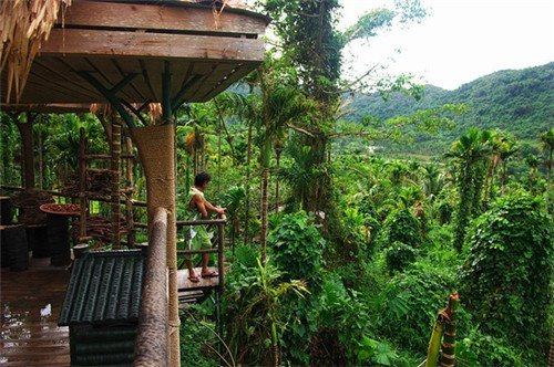 何以歌简音作5是什么调（何以歌和弦）