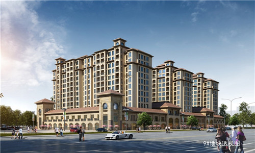 护航创业青年的湾区故事（大湾区青年创业家联盟）