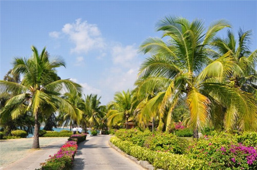 有一句歌词是什么歌（歌词里有这一句）