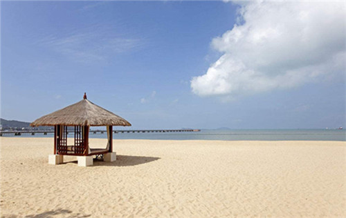 厚哥后宫爽剧大结局（厚stay）