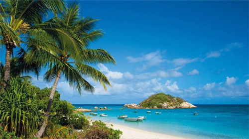 康乐县面筋加盟投资开店哪些品牌比较火爆（康乐县美食一条街在哪）