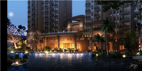 茴香炒虾皮怎么炒才好吃（虾皮炒茴香苗）