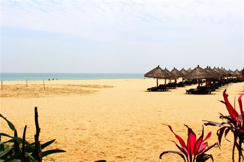 属狗名字带迪字好不好听（属狗的名字宜用字）