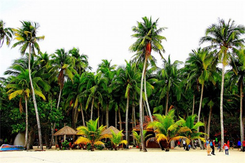 哎呀哎呀歌什么时候出来（哎呀呀那首歌叫什么名字）