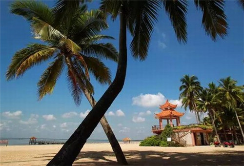 功率预测厂家十大排名（功率预测准确率）