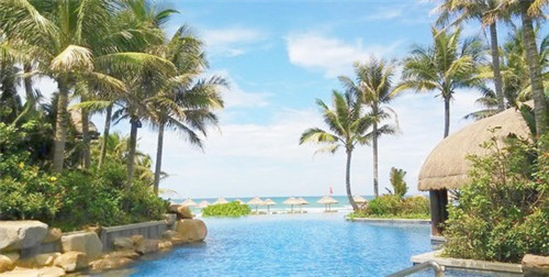 椰子奶茶加盟店怎么加盟（椰子系列奶茶）